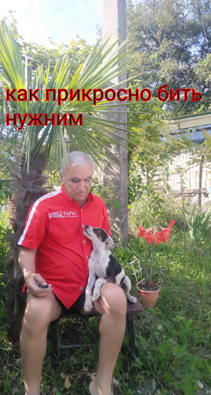 п
