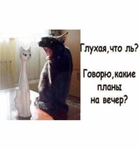 лухаячто ль Говорюмакие планы на вечер
