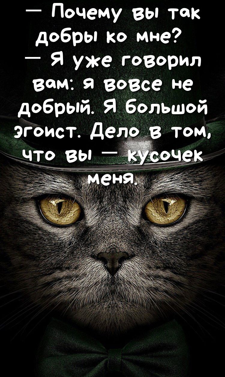 Почему вы так добры ко мне Я уже говорил вам я вовсе не добрый Я большой эгоист Дележ том