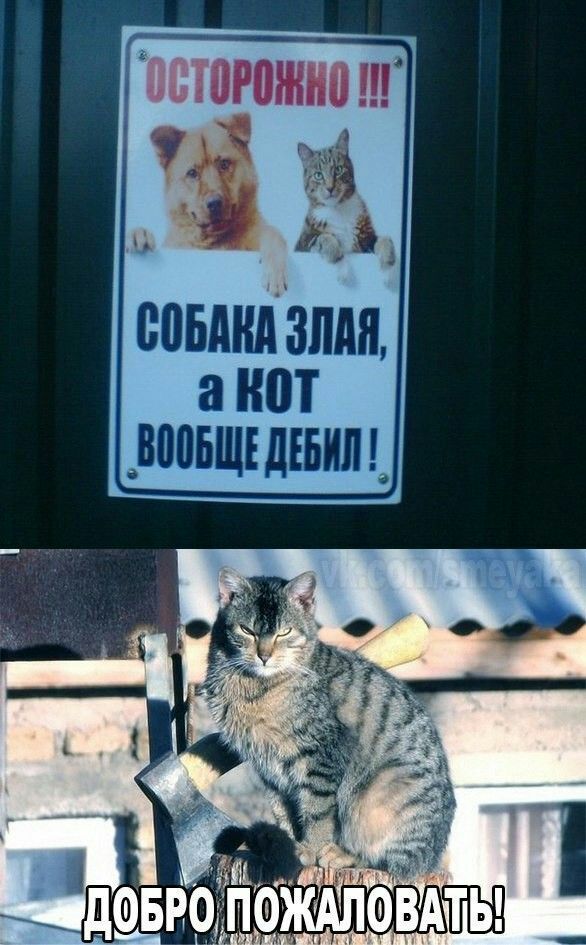 пстогтннп Г Г спинками 3 Ш _вопвщшъьил_