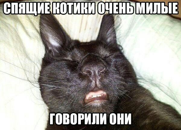 говогиііи они я праздника бумага НОВОГОДНЯЯ А