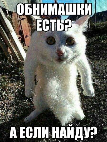 д ч
