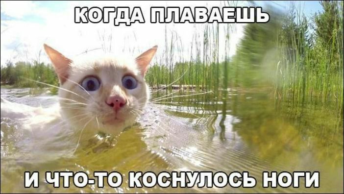 и ачтрі Ердік снжлрсь ноги