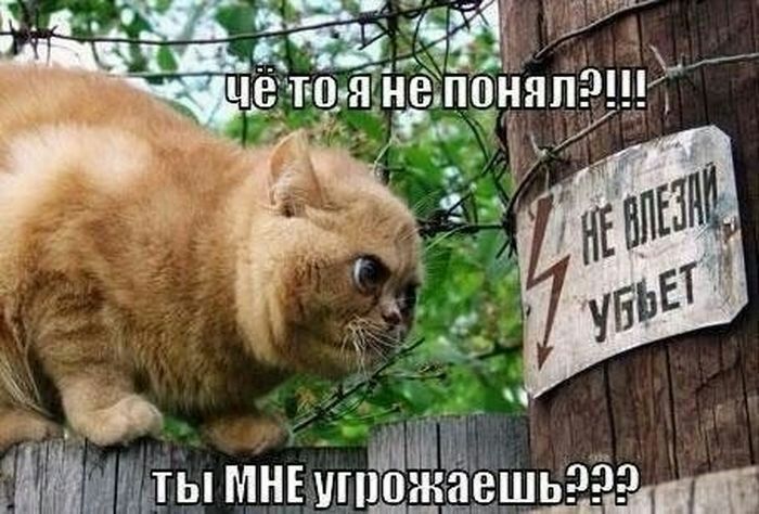 мака це юянёпоняп9_т _