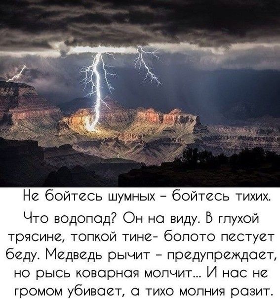 жж Не бойтесь шумных бойтесь тихих Что водопад Он на виду Б гпухой трясине топкой тине бопото пестует беду Медведь рычит предупреждает но рысь коварная мопчит И нос не громом убивает тихо мопния розит