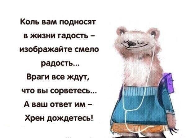 Коль вам подносят в жизни гадость изображайте смело Враги все Ждут что вы сорветесь А ваш ответ им Хрен дождетесь