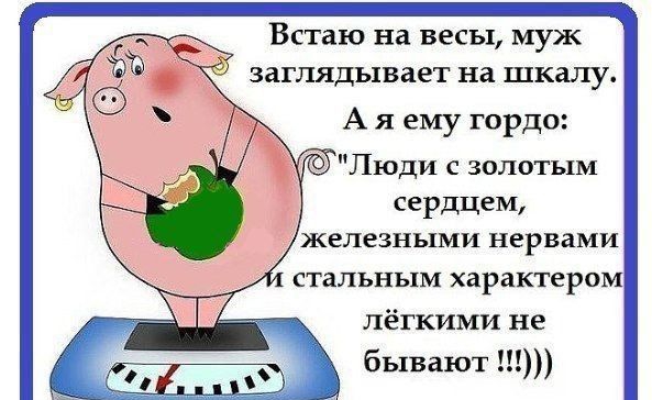 ВСТаЮ на ВЕСЫ муж ЗЗГЛЯДЬ1ВЗВТ на шкалу А я ему гордо Люди с золотым сердцем железными нервами СТаЛЬНЬ1М характера лёгкими не бывают