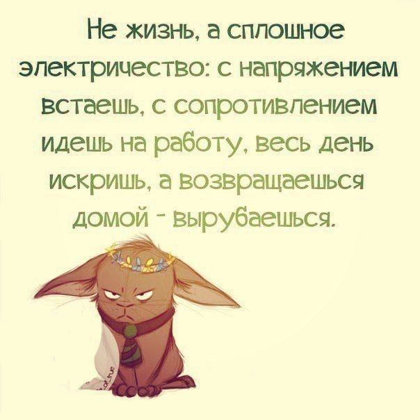 Не жизнь а сппошное электричество с напряжением встаешь с сопротивлением идешь на работу весь день искришь а возвращаешься Домой вырубаешься