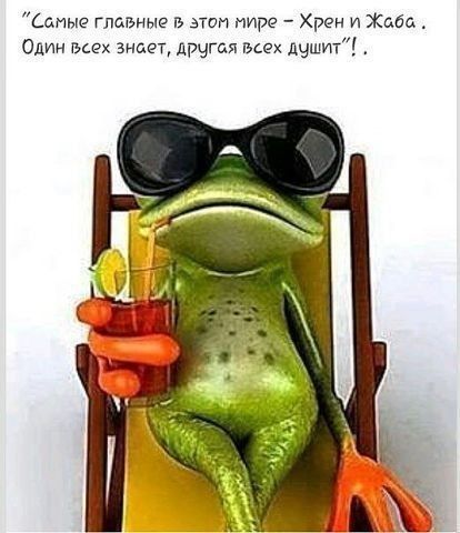 Данька главные в этом пирс Хрен и Жаба Одущ мех знает лрчгая всех дчшит