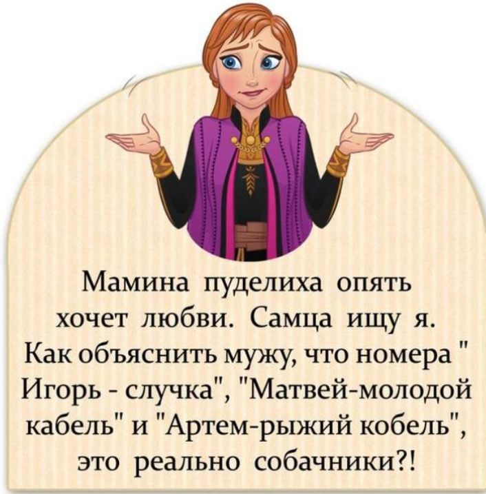 Мамина пуделиха опять хочет любви Самца ищу я Как объяснить мужу что номера Игорь случка Матвей молодой кабель и Артем рыжий кобель это реально собачники