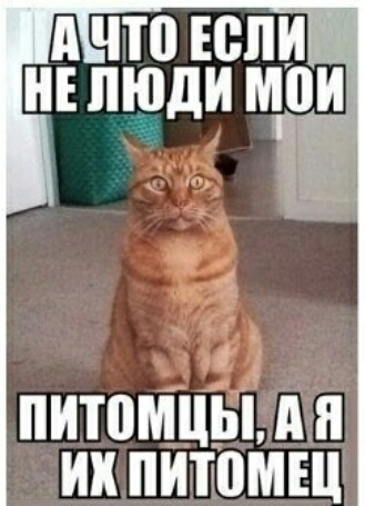 А что юпи НЕ люди мои питомцы А Я их ПИШМШ