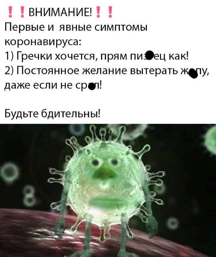 ВНИМАНИЕ Первые и явные симптомы коронавируса 1 Гречки хочется прям пиец как 2 Постоянное желание вытерать жфу даже если не срут Будьте бдительны