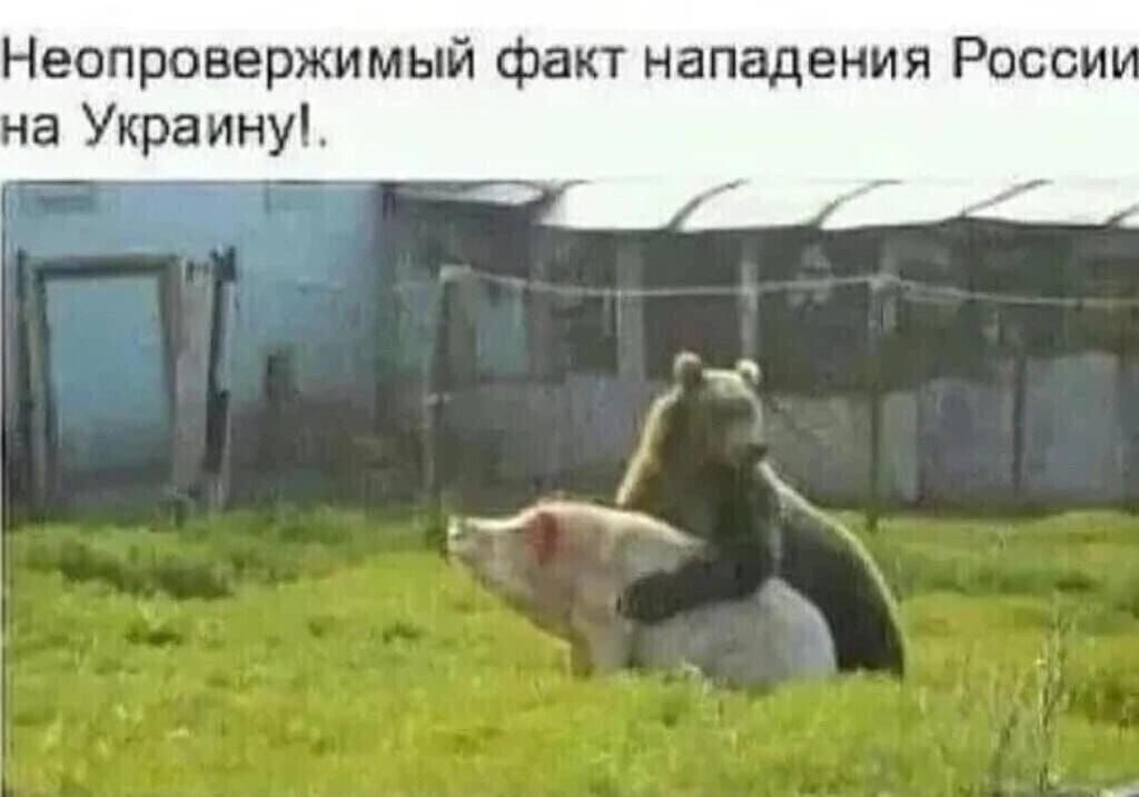 Неопровержимый факт нападения Росси на Украину З ь и _ и г