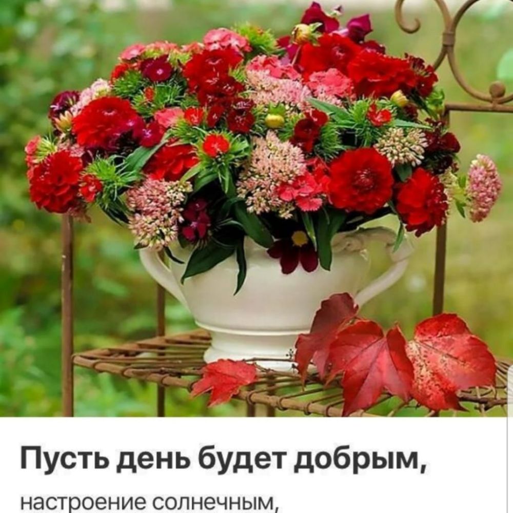 Пусть день будет добрым НЭСТООЗНИЗ СОЛНЭЧНЫМ