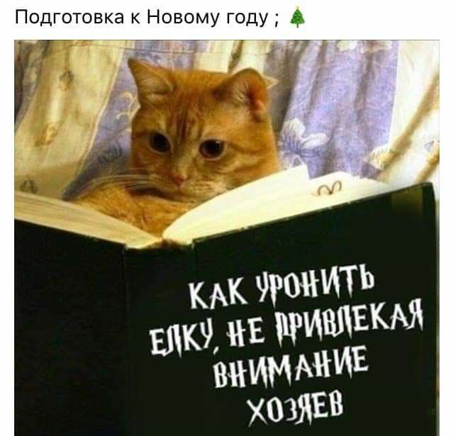 Подготовка к Новому году А