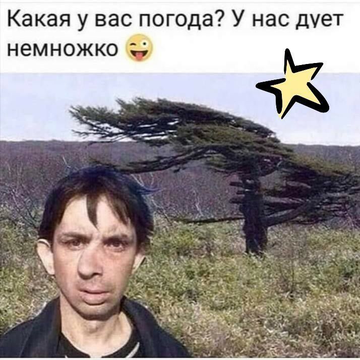Какая у вас погода У нас дует немножко