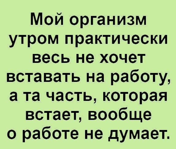 Мой организм утром практически весь не хочет вставать на работу а та часть которая встает вообще о работе не думает
