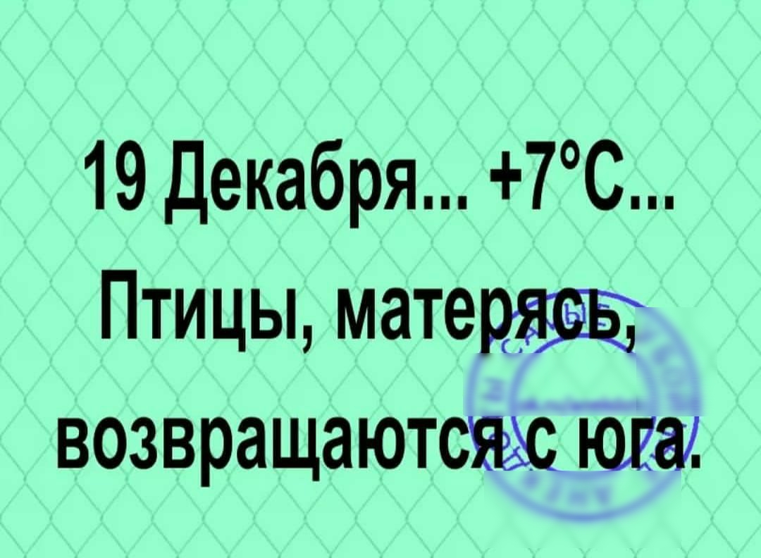19 Декабря 7С Птицы матеряды возвращаютсязс юпа