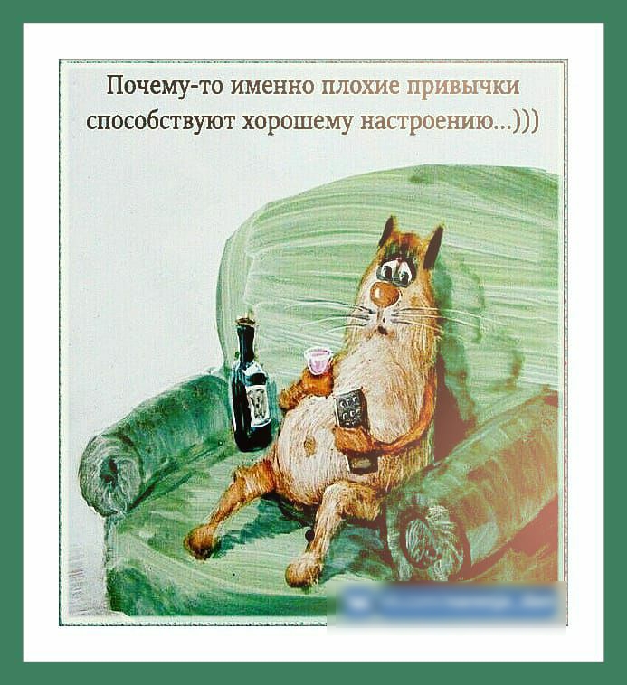 Почему то именно НПО СПОСОбСТВУЮТ хорошему наст 19