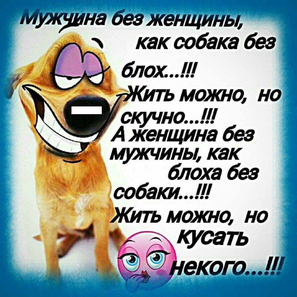 Мишна 6езженщины как собака без 6лох мсто но Ъкучно _А женщина без мужчины как блоха без