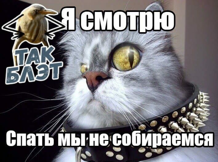 ёё спать мынжобипаемоя