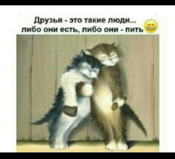 друзья это такие люди либо они есть либо они пить
