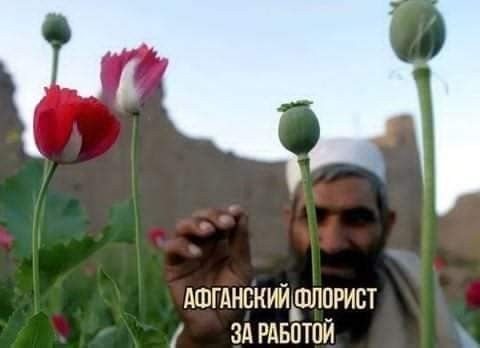 дшгднскиишлприст зд рдвптпи