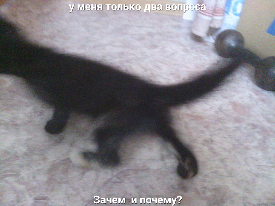 ЗЕНЯ Г ЫЛЦХ АЗЫ ЗЫПРОСЁЗ Защ вы и оч выЗ