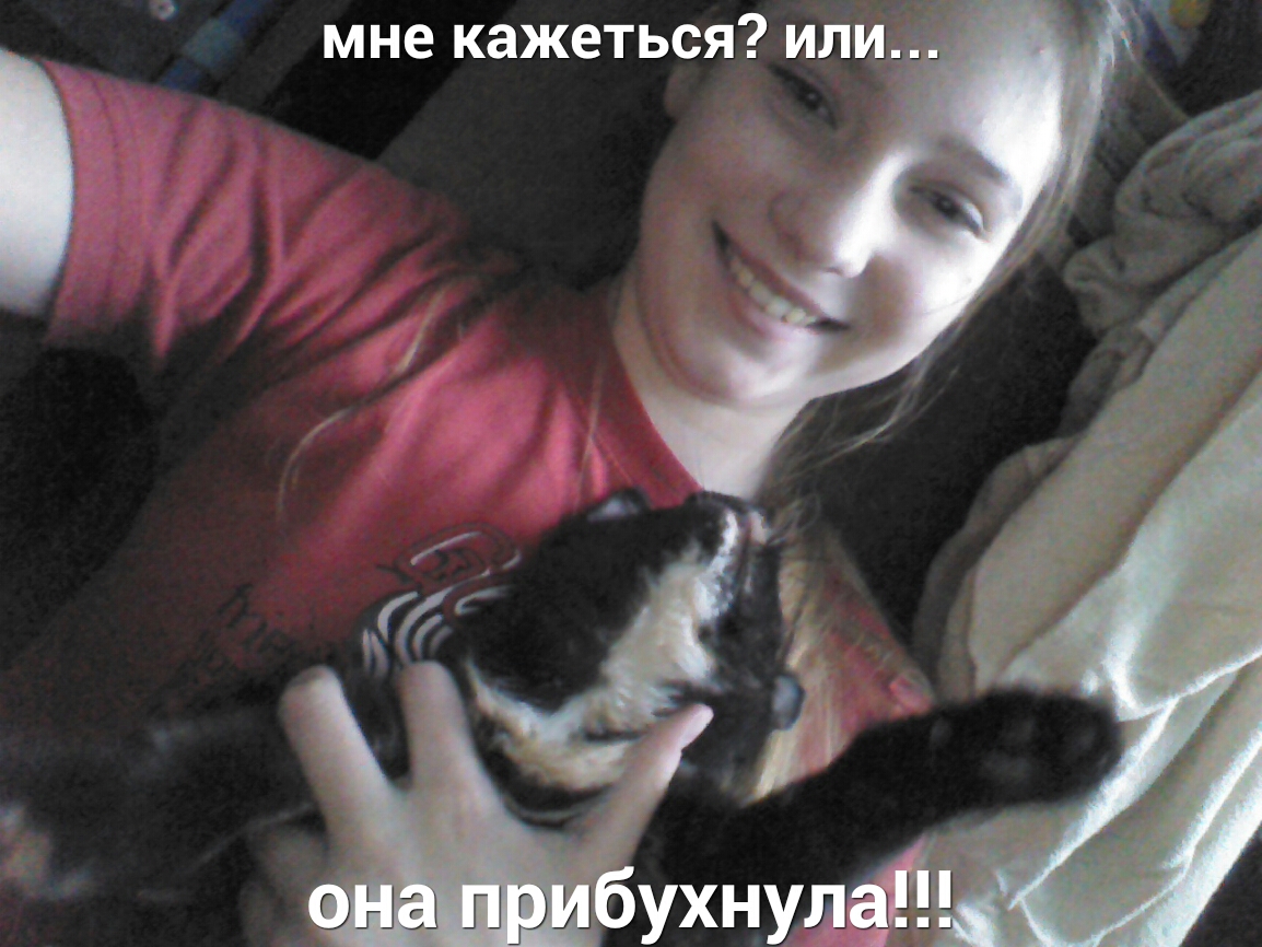 мне кажеться или