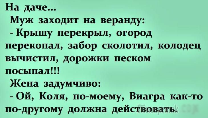 На даче Муж заходит на веранду Крышу перекрыл огород перекопал забор сколотил колодец вычистил дорожки песком посыпал Жена задумчиво Ой Коля по моему Виагра както по другому должна действовать