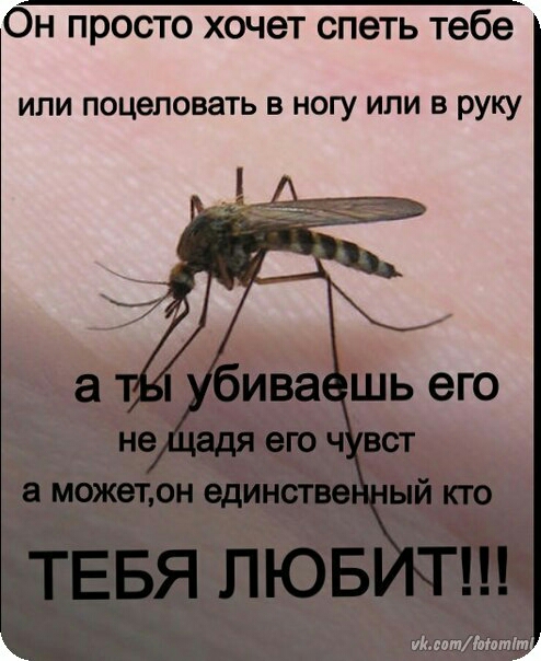 Он просто хочет спеть тебе или поцеловать в ногу или в руку КитМати