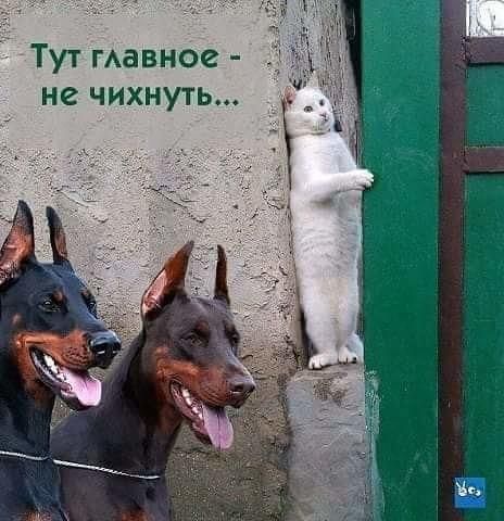 Туг гАавное не чихнуть