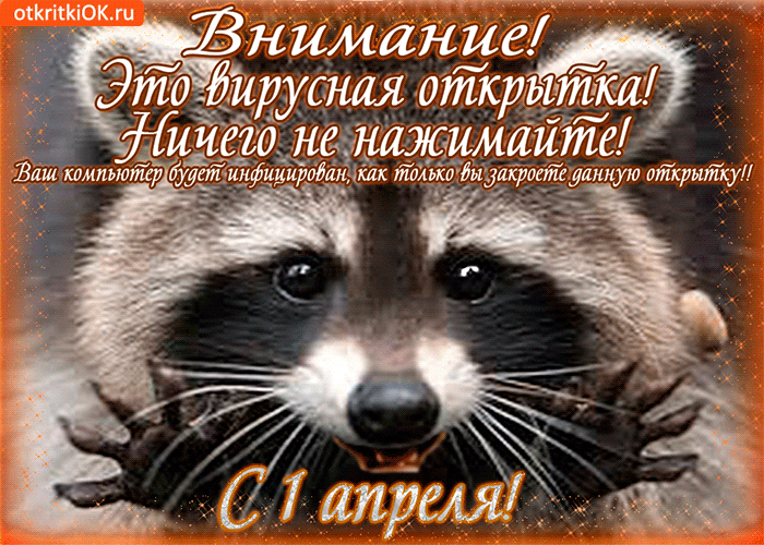 шиитских днищ нда _ Этоъёуіцдуащя открдцтка чвш ішкомпьюгіер жимййт идфий ли как тйъёййдаіриепйуатую ойрыйкул ____ л и__ _У