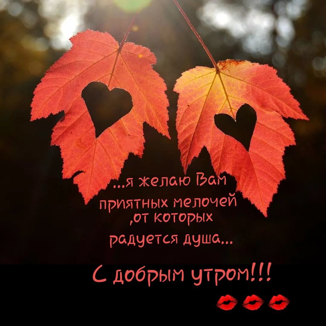 ЁГ я желаю Бои приятных мелочей от которых радуется душа добрым утром