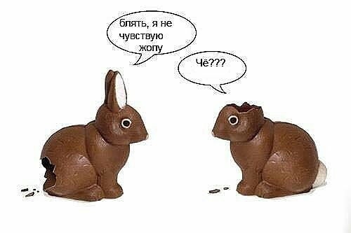 бишь Не _ чувствую жппу