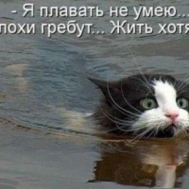 ___ Я пдава тьгне_Уею поки гребут Яшъзхап