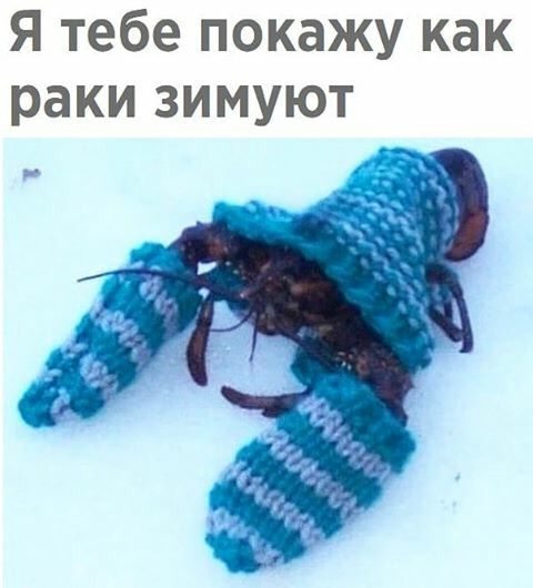 Я тебе покажу как раки зимуют