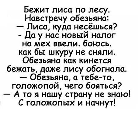 Бежит лиса по лесу Навстречу обезьяна Лиса куда несёшься Да у нас новый налог на мех ввели боюсь как бы шкуру не сняли Обезьяна как кинется бежать даже лису обогнала Обезьяна а тебето голожопой чего бояться А то я нашу страну не зною С гопожопых и начнут