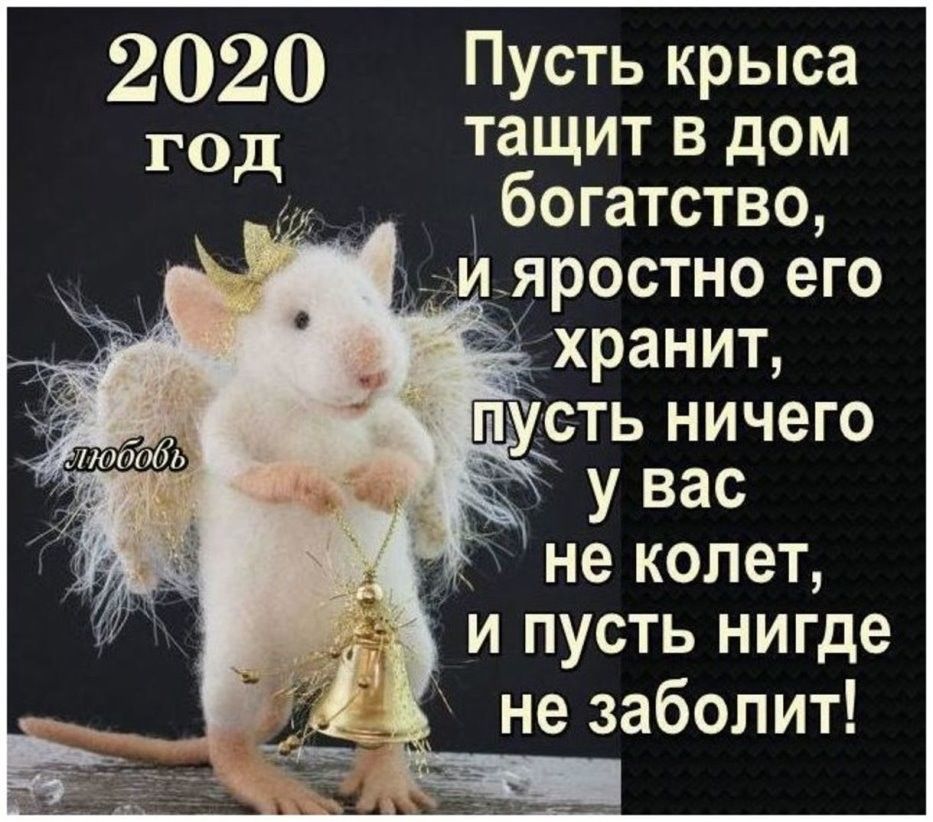 2020 Пусть крыса год тащит В дом богатство и яростно его _ 7 не колет и пусть нигде не заболит