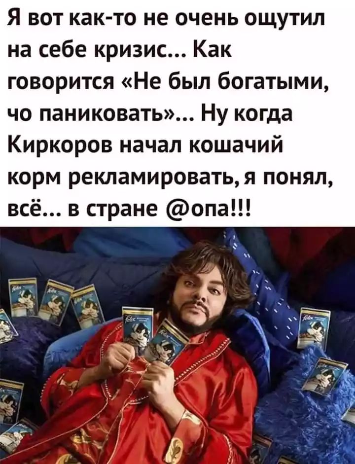 Я вот как то не очень ощутил на себе кризис Как говорится Не был богатыми чо паниковать Ну когда Киркоров начал кошачий корм рекламироватья понял всё в стране опа