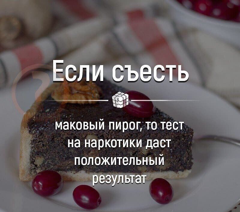Если съесть Ёі ту МЭКОВЫЙ ПИРОГ ТО ТЕСТ на наркотики даст положительный результат