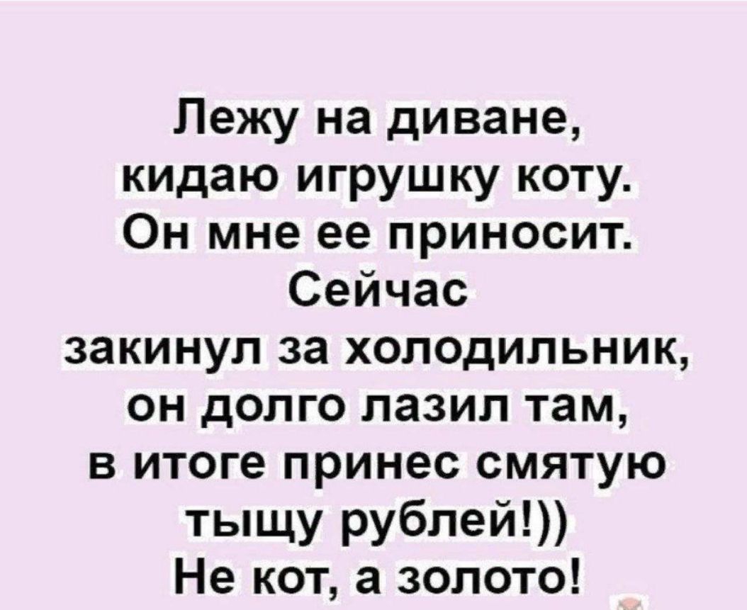 Лежу на диване кидаю игрушку коту Он мне ее приносит Сейчас закинул за ХОЛОДИЛЬНИК он долго лазил там в итоге принес смятую тыщу рублей Не кот а золото