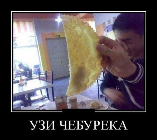УЗИ ЧЕБУРЕКА