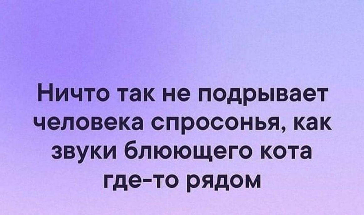 Ничто так не подрывает человека спросонья как звуки блюющего кота где то рядом