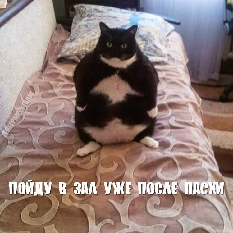 сд 5 НЪ_ ид _ а А