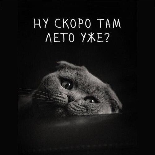 НУ СКОРО ТАМ ЕТ0 УЖЕ