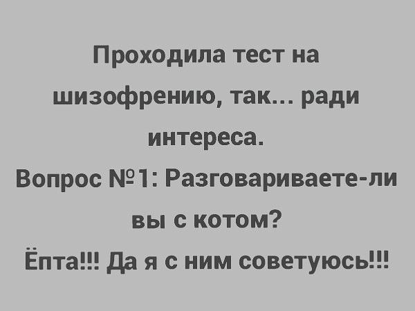 Проходила тест на шизофрению так ради интереса Вопрос 1 Разговариваете ли вы с котом Ёпта Да я с ним советуюсь