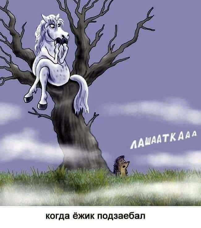 когда ёжик подзаебал
