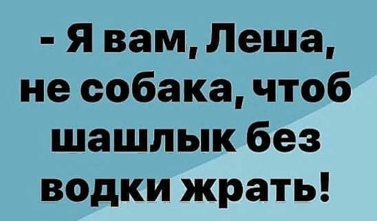 Тихо по имени. Я вам не собака чтоб шашлык без водки жрать. Жрать водку. Я вам Леша не собака чтоб шашлык без водки жрать.