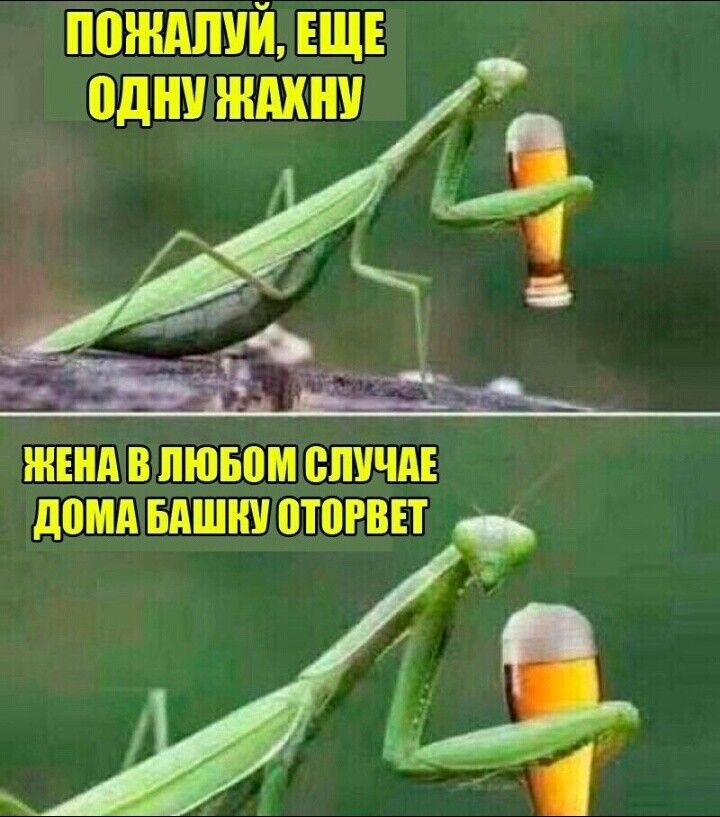 пожшй ЕЩЕ однщндхни д _ ЫЫщ 2 1 пювпмспичді домфдъБдшиуцоюрвп